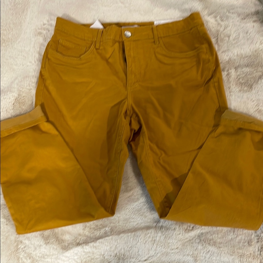 LOFT Golden Yellow Trousers/Pants